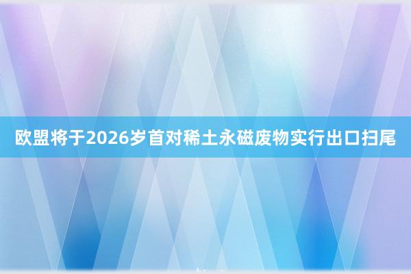 欧盟将于2026岁首对稀土永磁废物实行出口扫尾